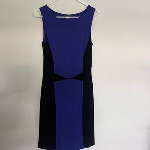 Venus Purple and Black Women's Dress Colorblock